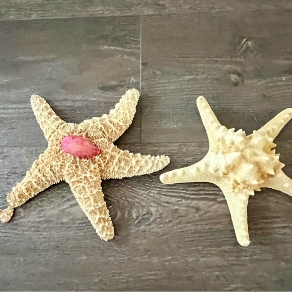 Decorative Starfish Set with Pink Accent - Picture 12 of 13